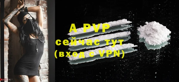 apvp Новодвинск