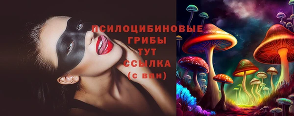 мяу мяу кристалл Няндома