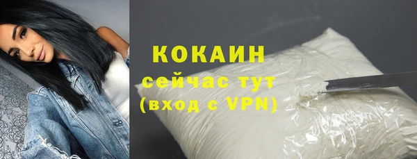 тгк Новозыбков