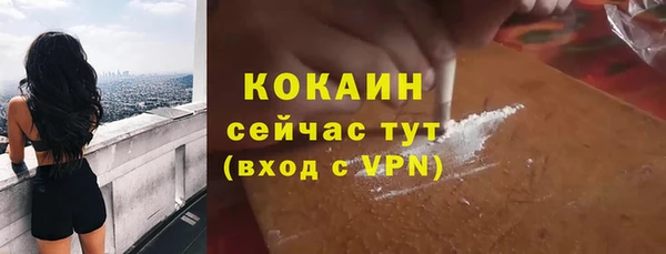 тгк Новозыбков