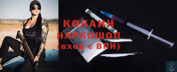 тгк Новозыбков