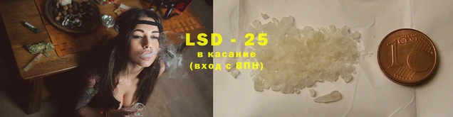 apvp Новодвинск