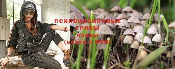 прущие крисы Новокубанск