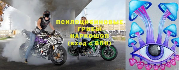 тгк Новозыбков
