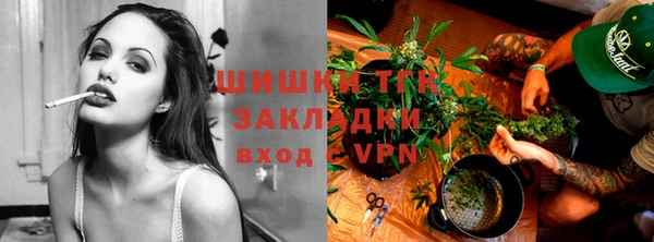 тгк Новозыбков