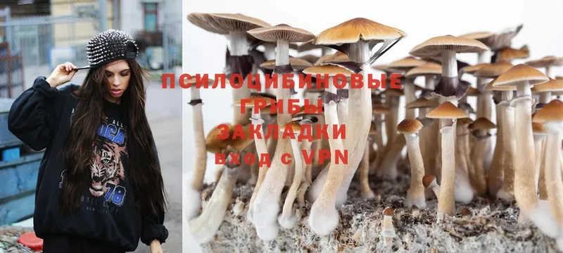 Псилоцибиновые грибы Magic Shrooms  Бахчисарай 