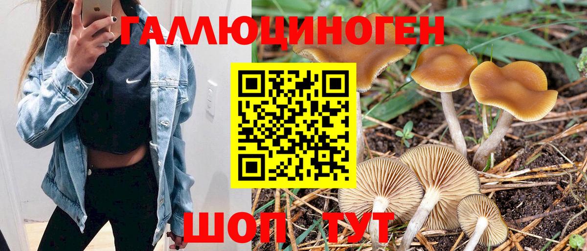 Бахчисарай  сколько стоит  Вход с VPN  Псилоцибиновые грибы мухоморы  Галлюциногенные грибы прущие грибы 