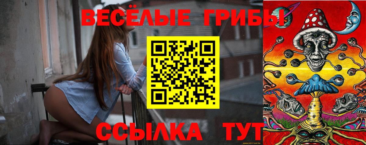 Галлюциногенные грибы Cubensis Бахчисарай