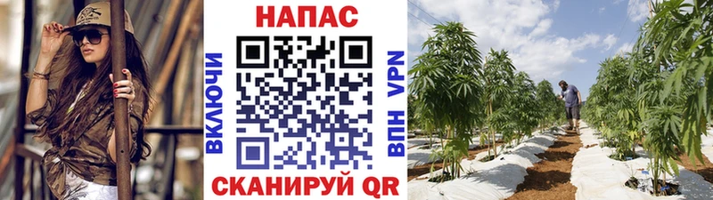 Канабис семена Бахчисарай
